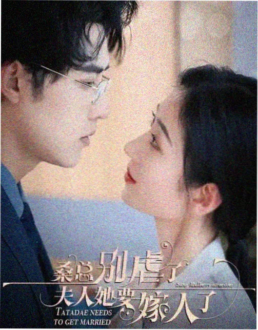 泪腺档案长片海报:夏日街道与企鹅队列